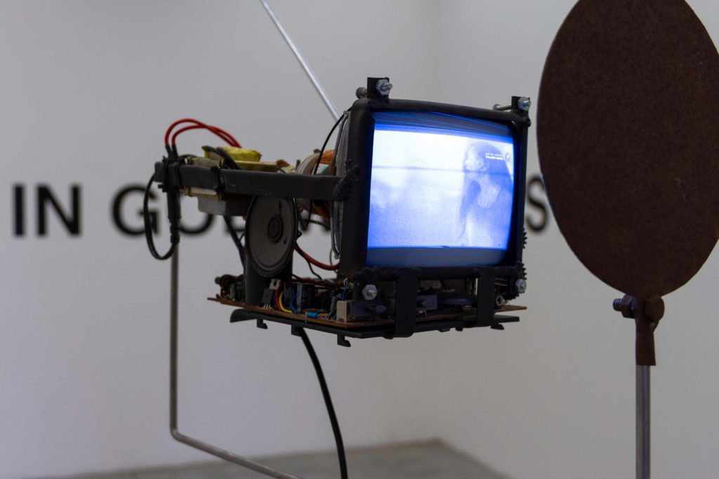 Angel Poyón. Narcisos. 2005.